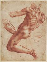 A 027 recto
<br/>
Figuurstudie voor een Ignudo in de Sixtijnse Kapel
<br/>
<em>Michelangelo Buonarroti (1475-1564)</em>